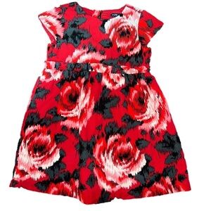 Little girl’s GORGEOUS floral pattern dress Baby Gap excellent like new #535